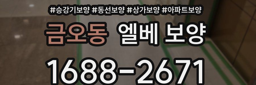금오동 엘베 보양