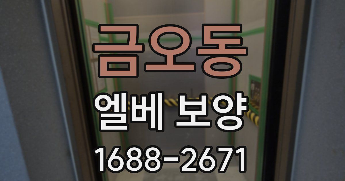 금오동 엘베 보양