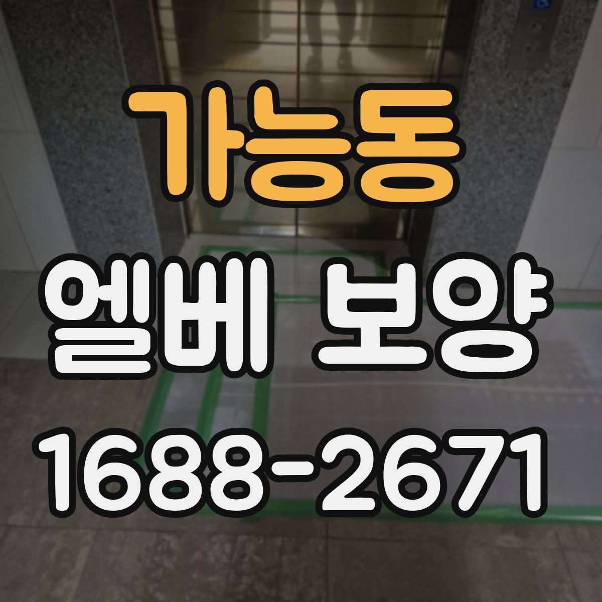 가능동 엘베 보양