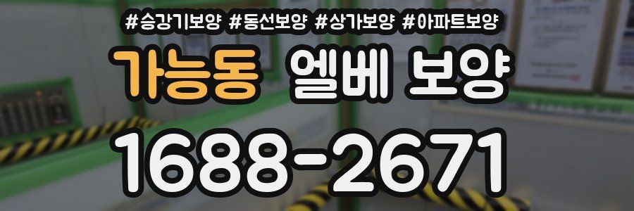 가능동 엘베 보양