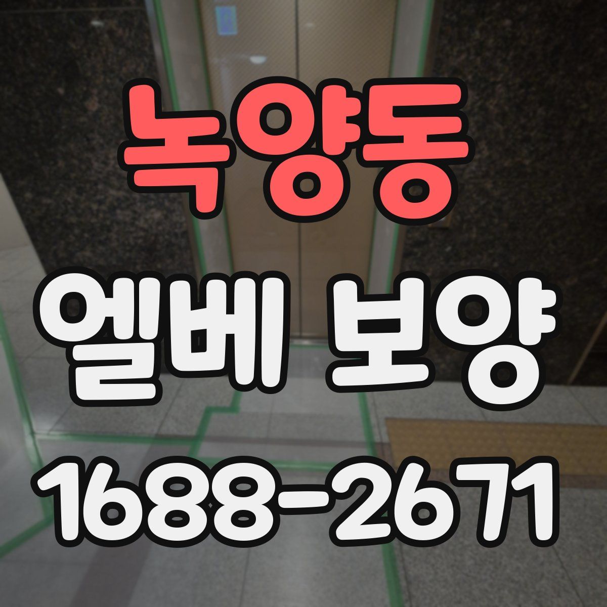 녹양동 엘베 보양