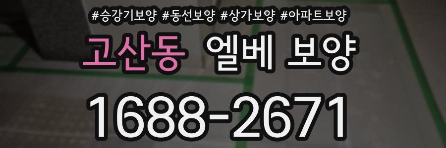 고산동 엘베 보양