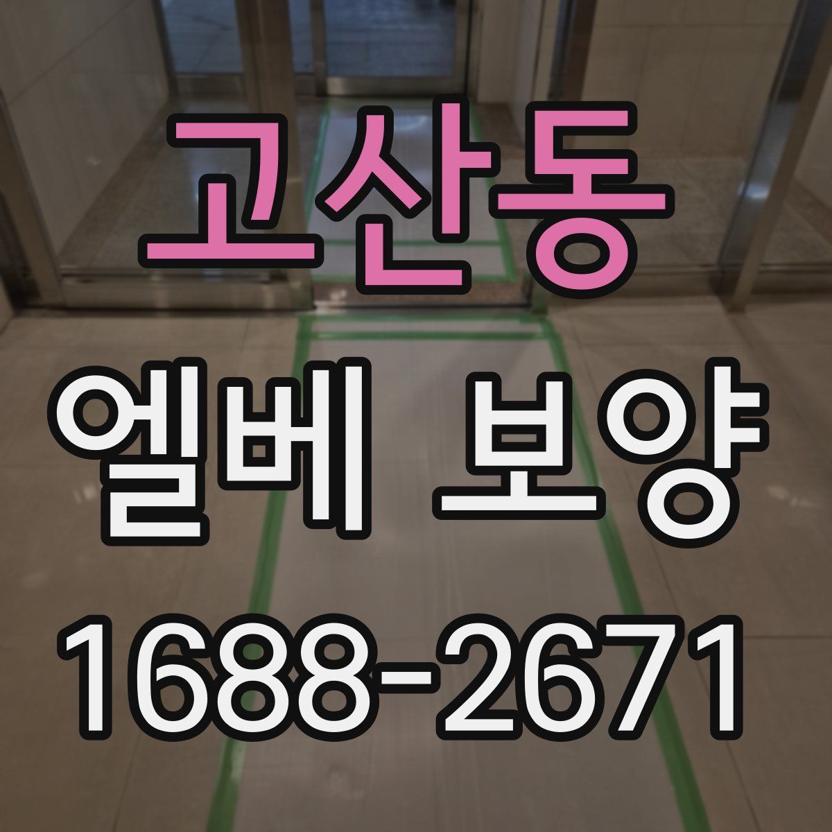 고산동 엘베 보양