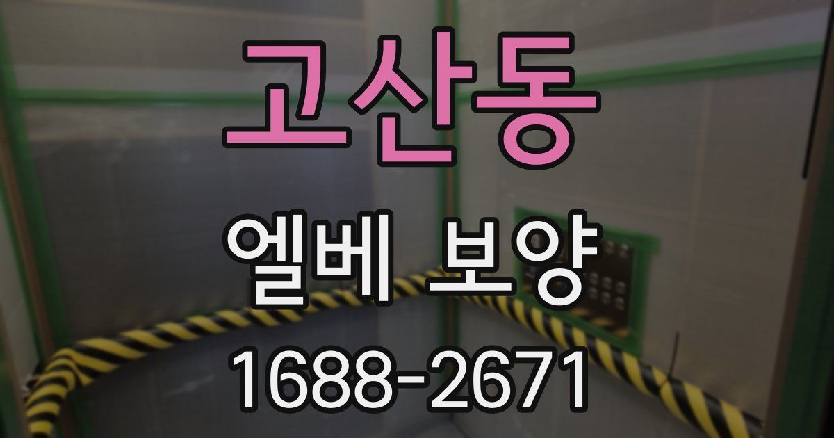 고산동 엘베 보양