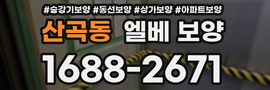산곡동 엘베 보양