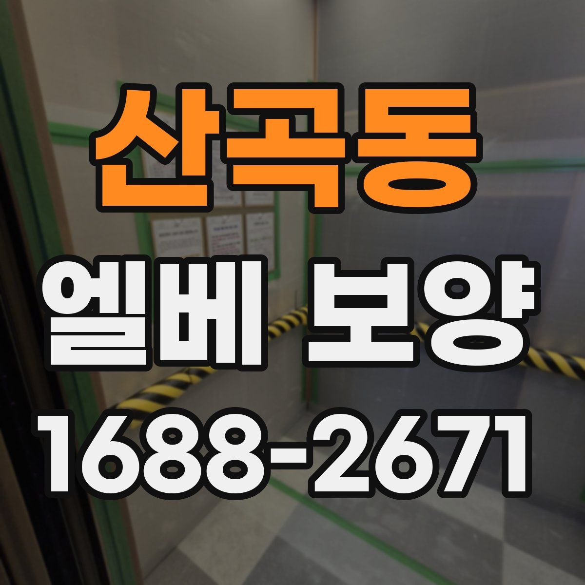 산곡동 엘베 보양