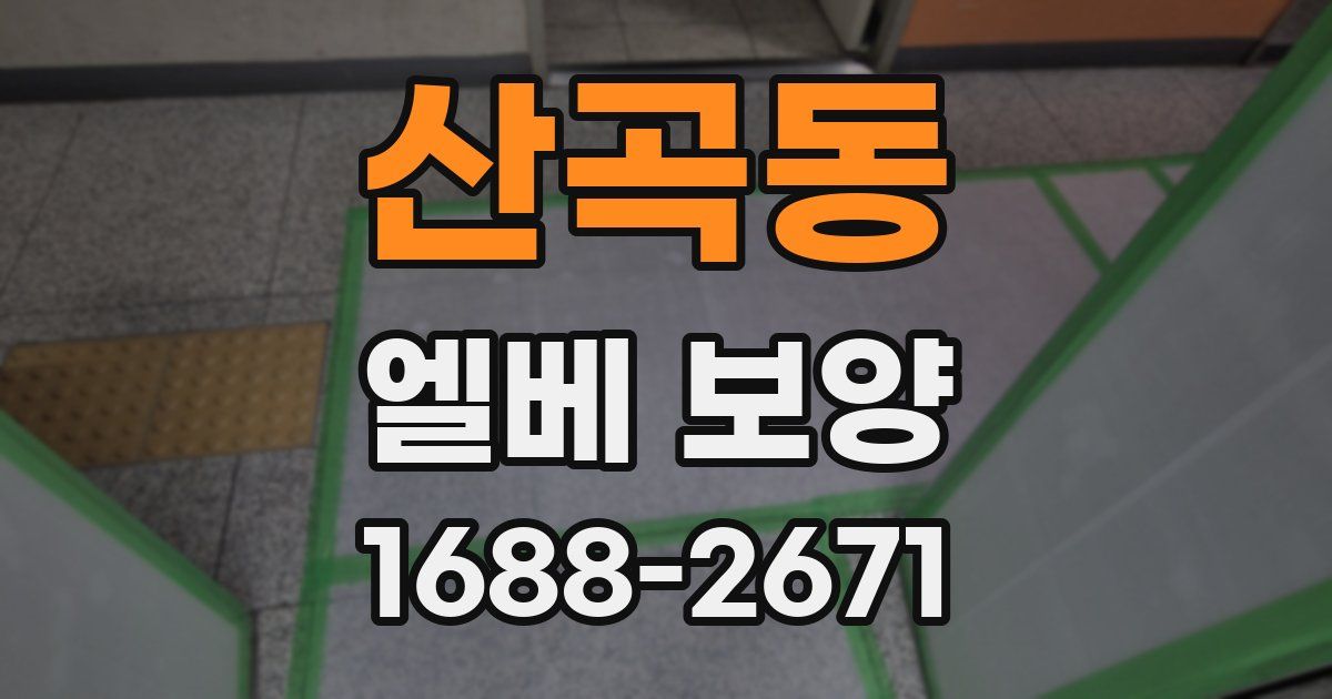 산곡동 엘베 보양
