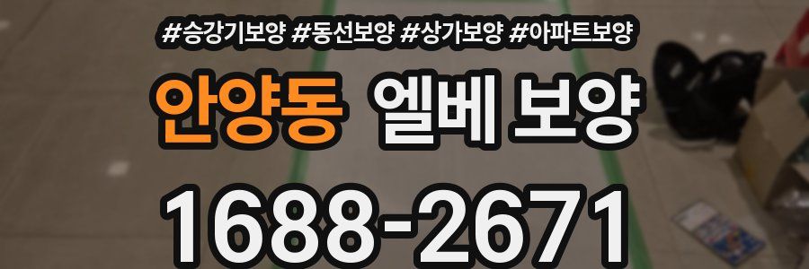 안양동 엘베 보양