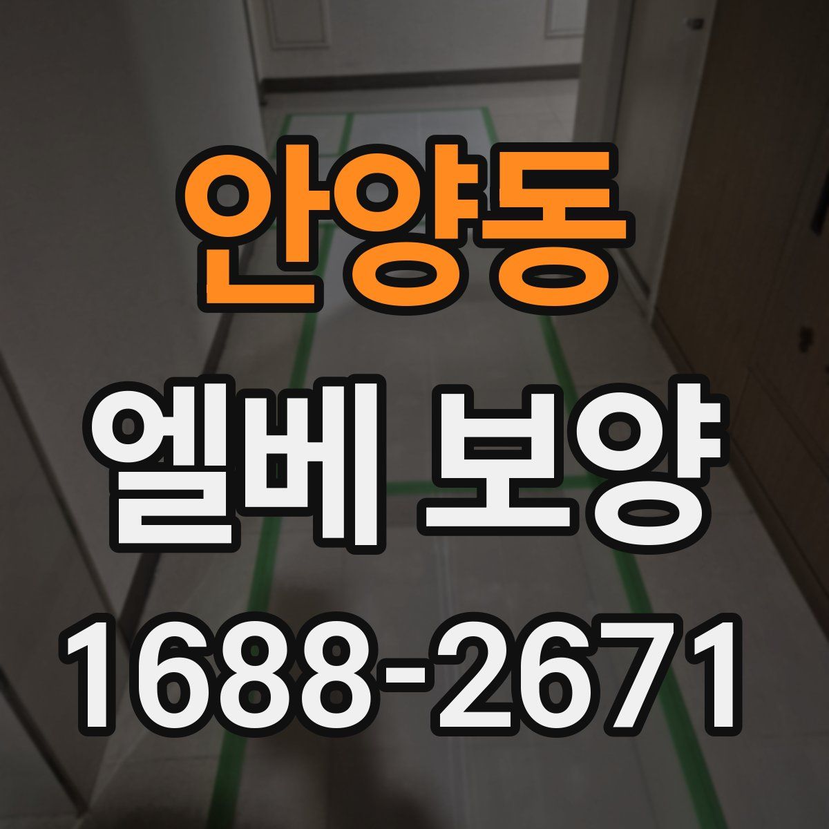 안양동 엘베 보양