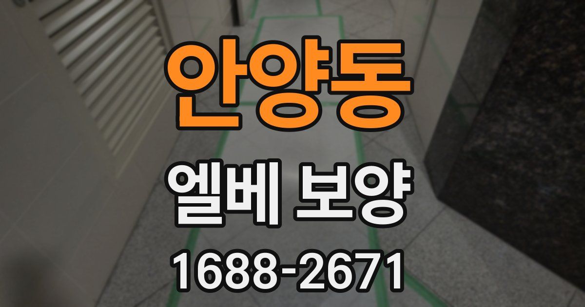 안양동 엘베 보양