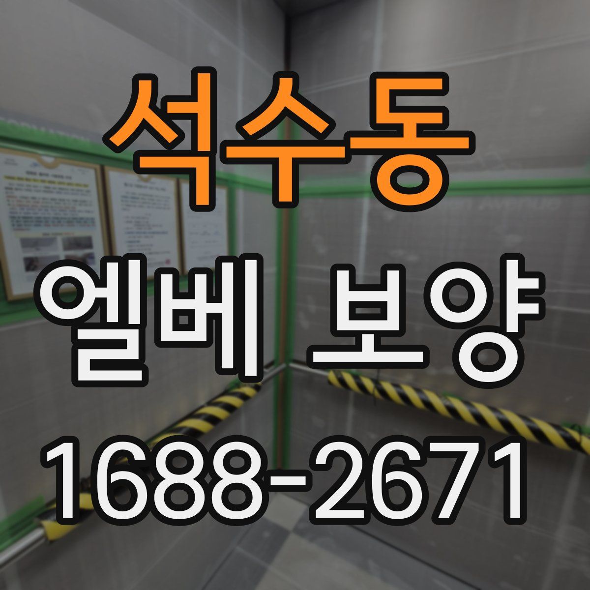 석수동 엘베 보양