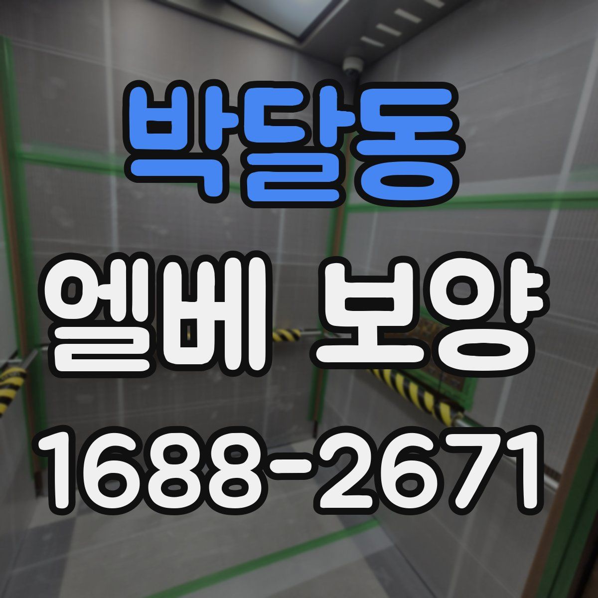 박달동 엘베 보양