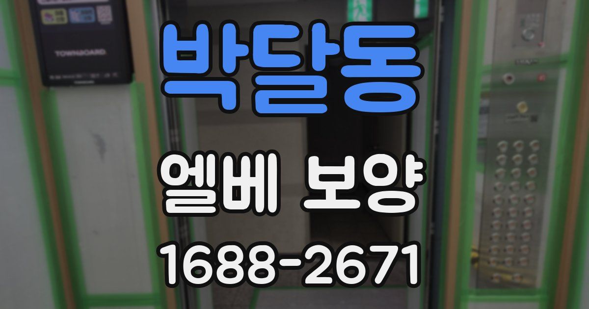 박달동 엘베 보양