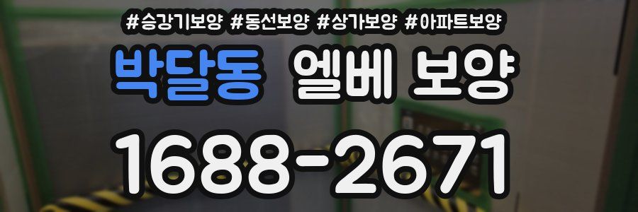 박달동 엘베 보양
