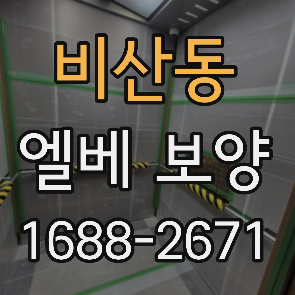 비산동 엘베 보양