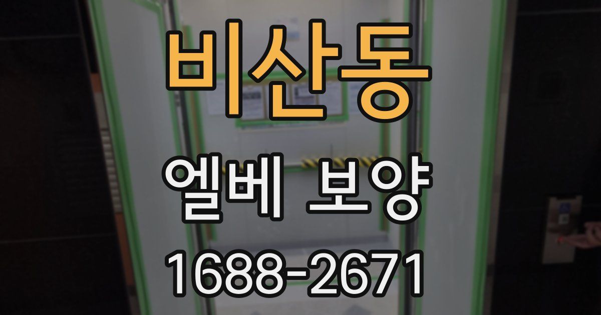 비산동 엘베 보양