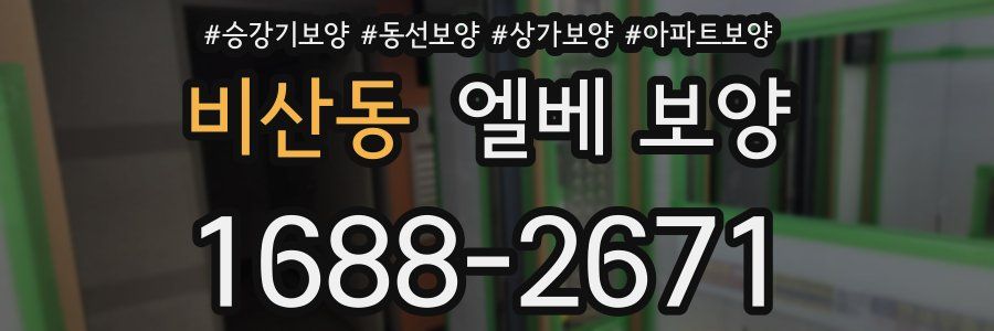 비산동 엘베 보양