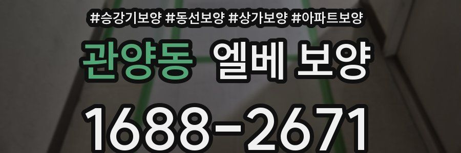 관양동 엘베 보양