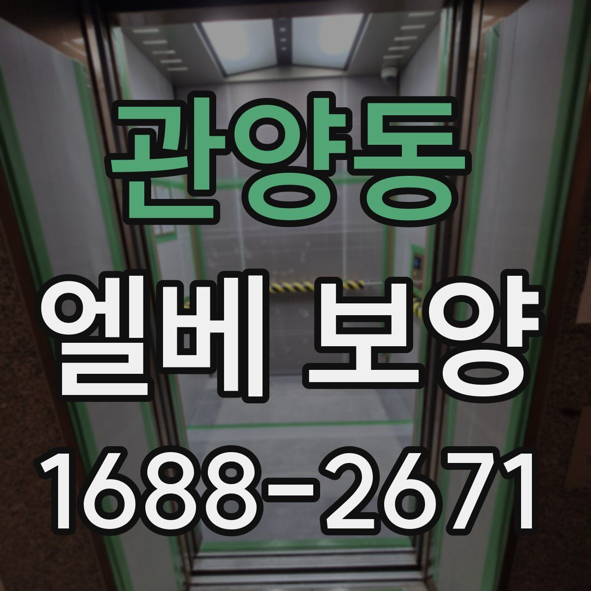 관양동 엘베 보양