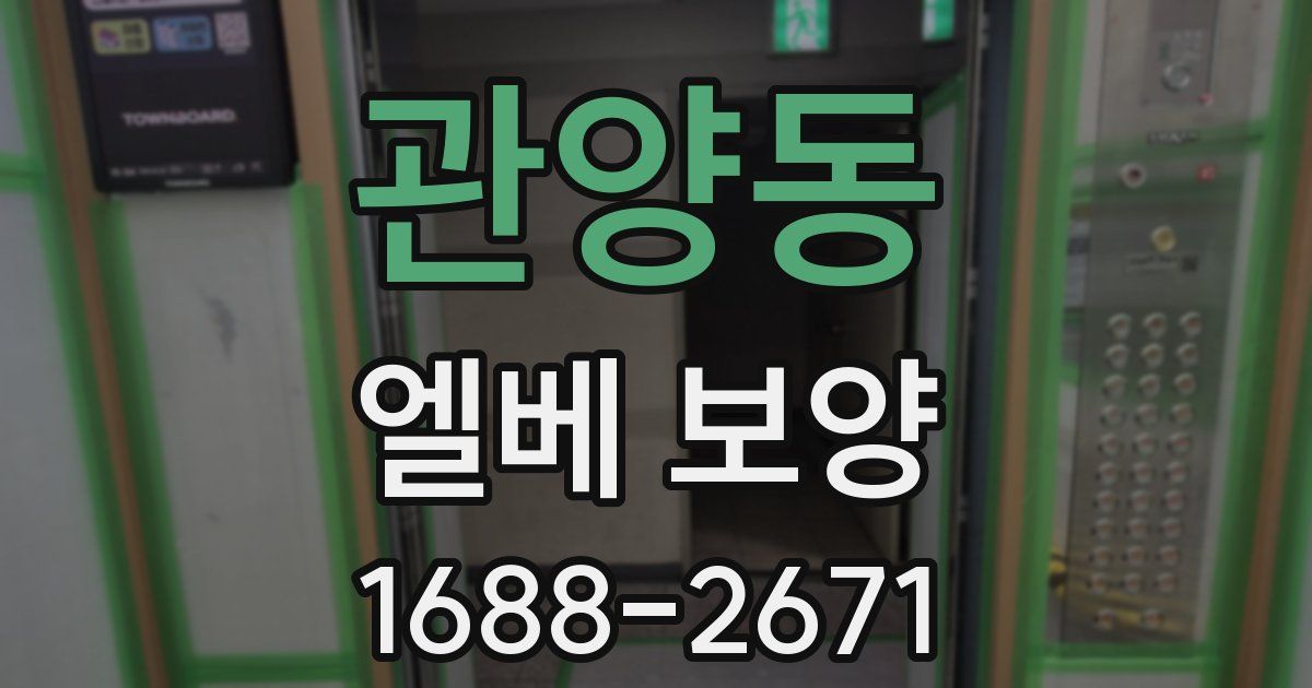 관양동 엘베 보양