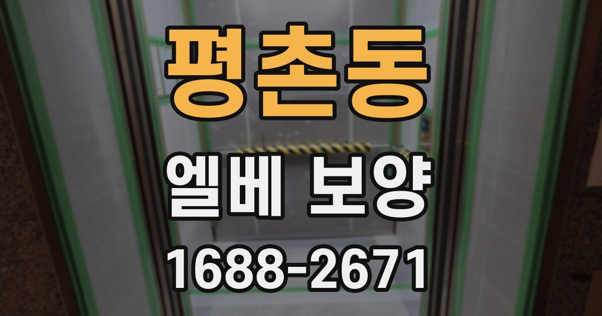 평촌동 엘베 보양