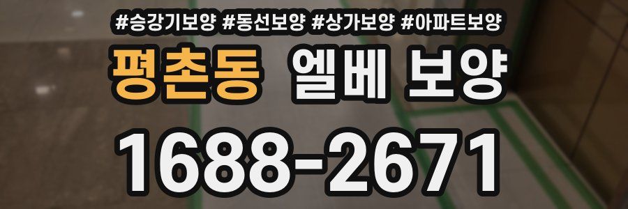 평촌동 엘베 보양