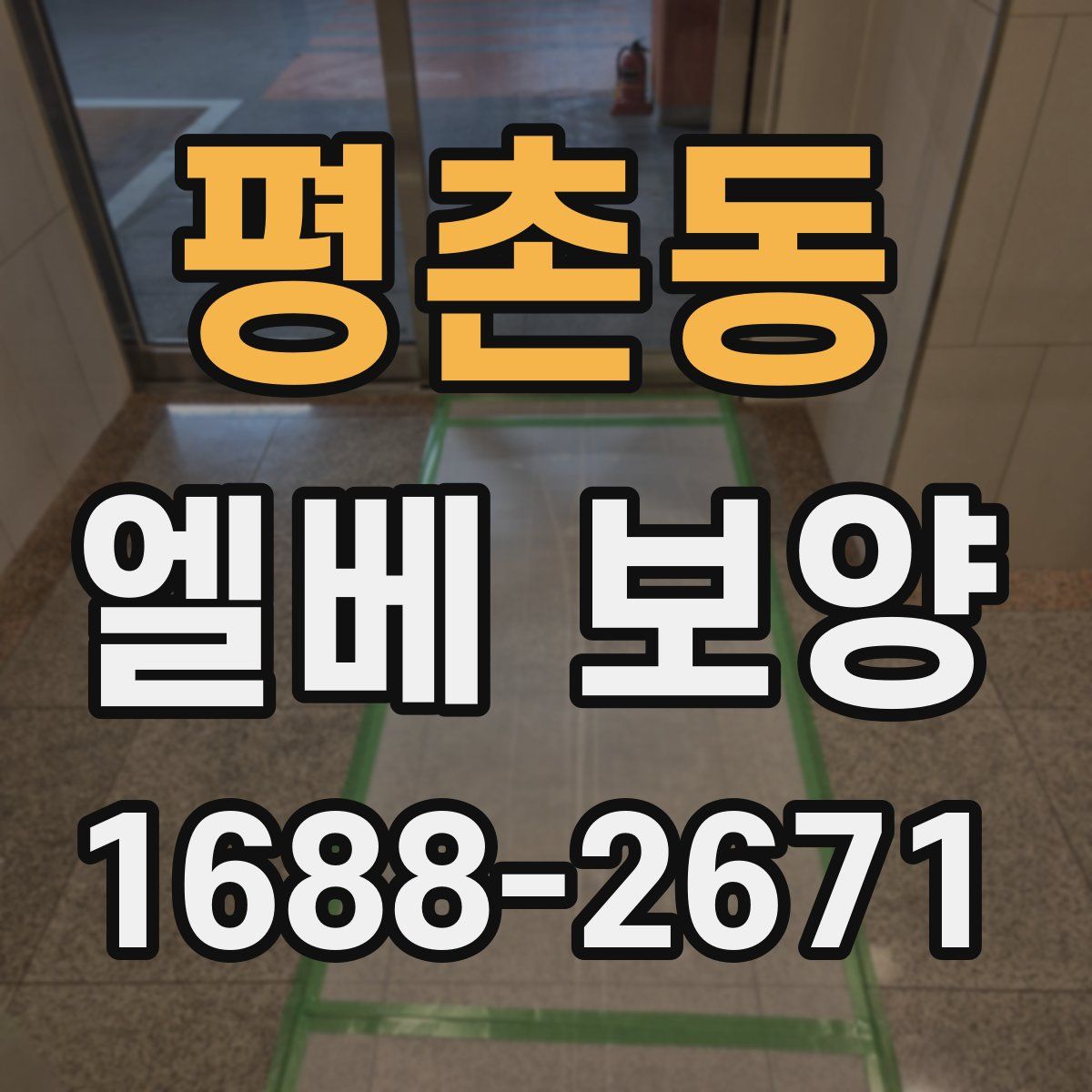 평촌동 엘베 보양