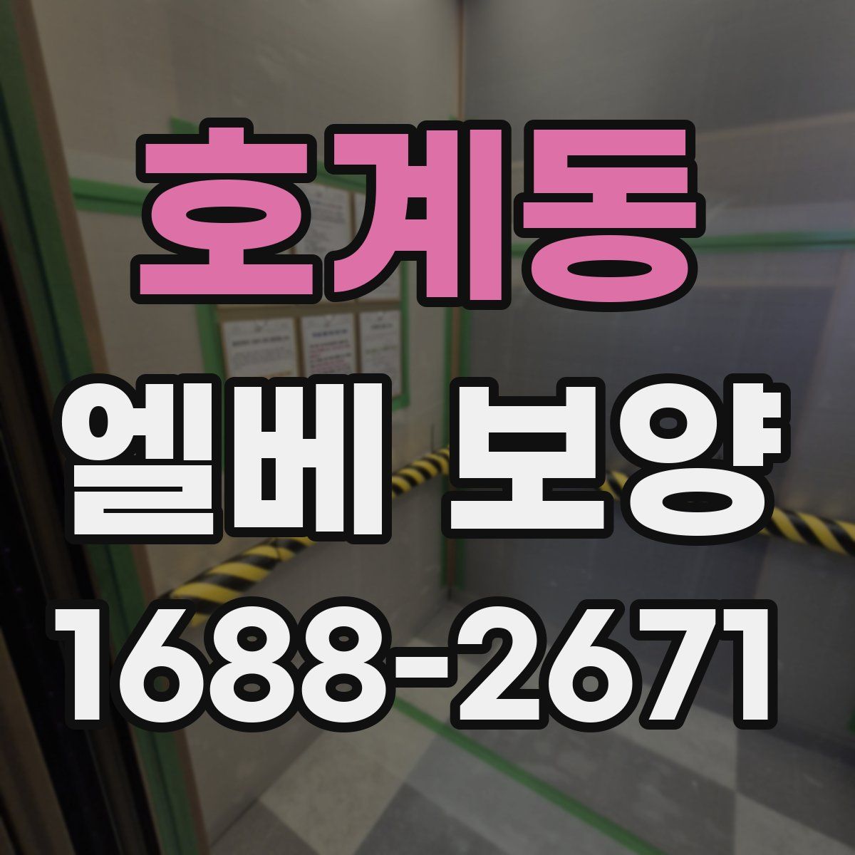 호계동 엘베 보양