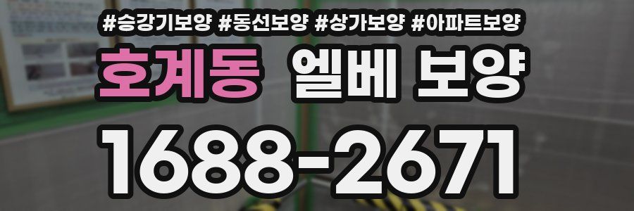 호계동 엘베 보양