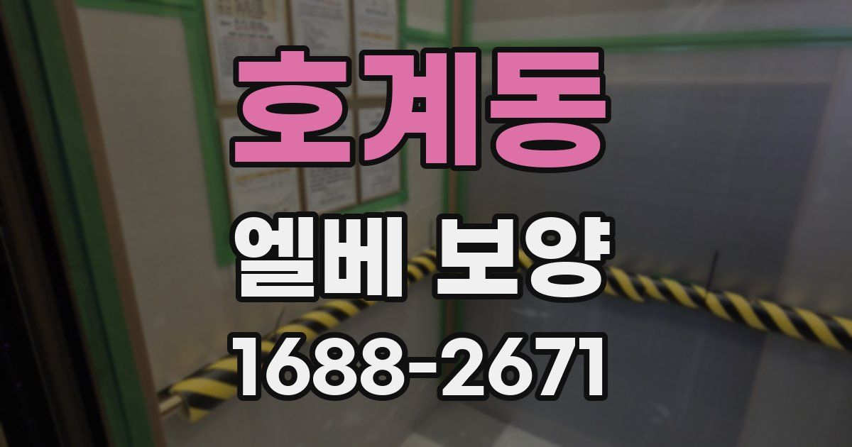 호계동 엘베 보양