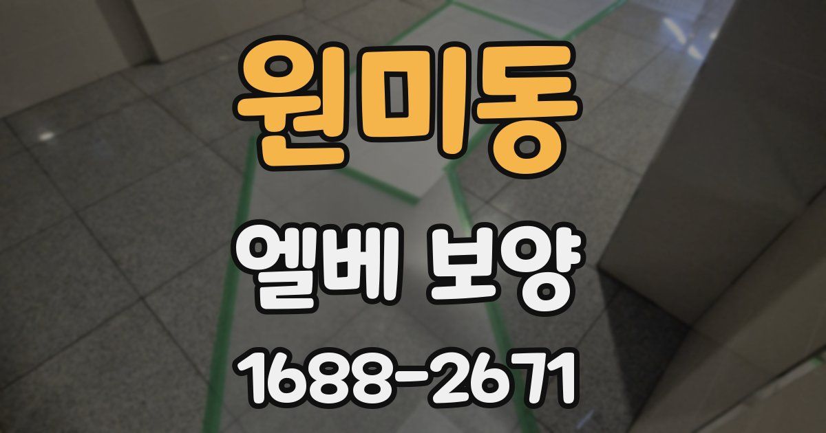 원미동 엘베 보양