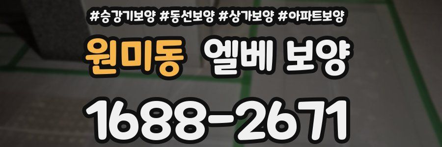 원미동 엘베 보양