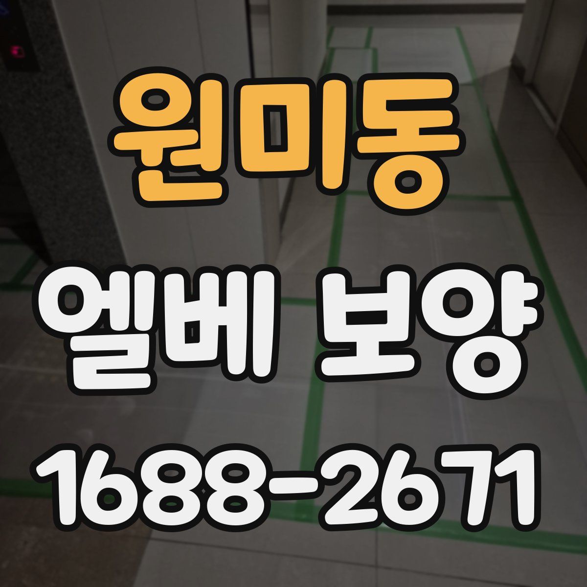 원미동 엘베 보양