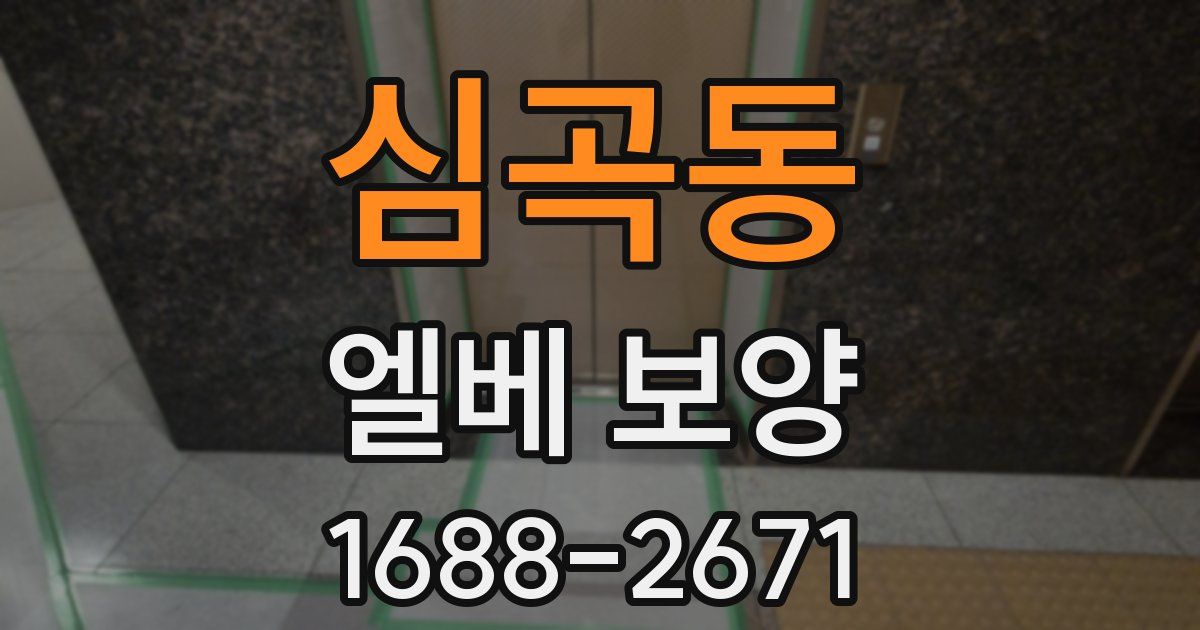 심곡동 엘베 보양