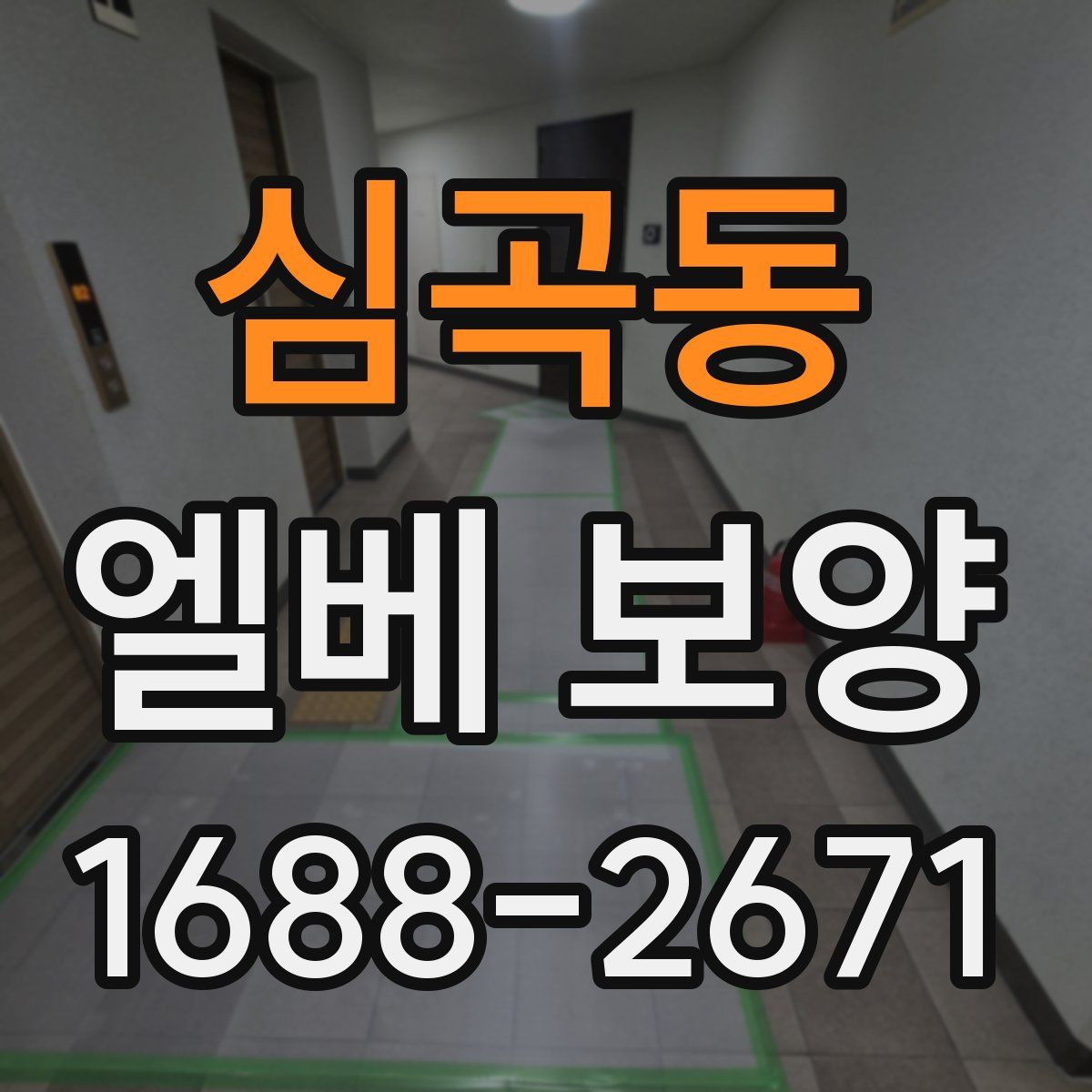심곡동 엘베 보양