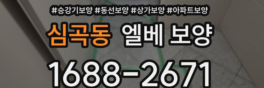 심곡동 엘베 보양