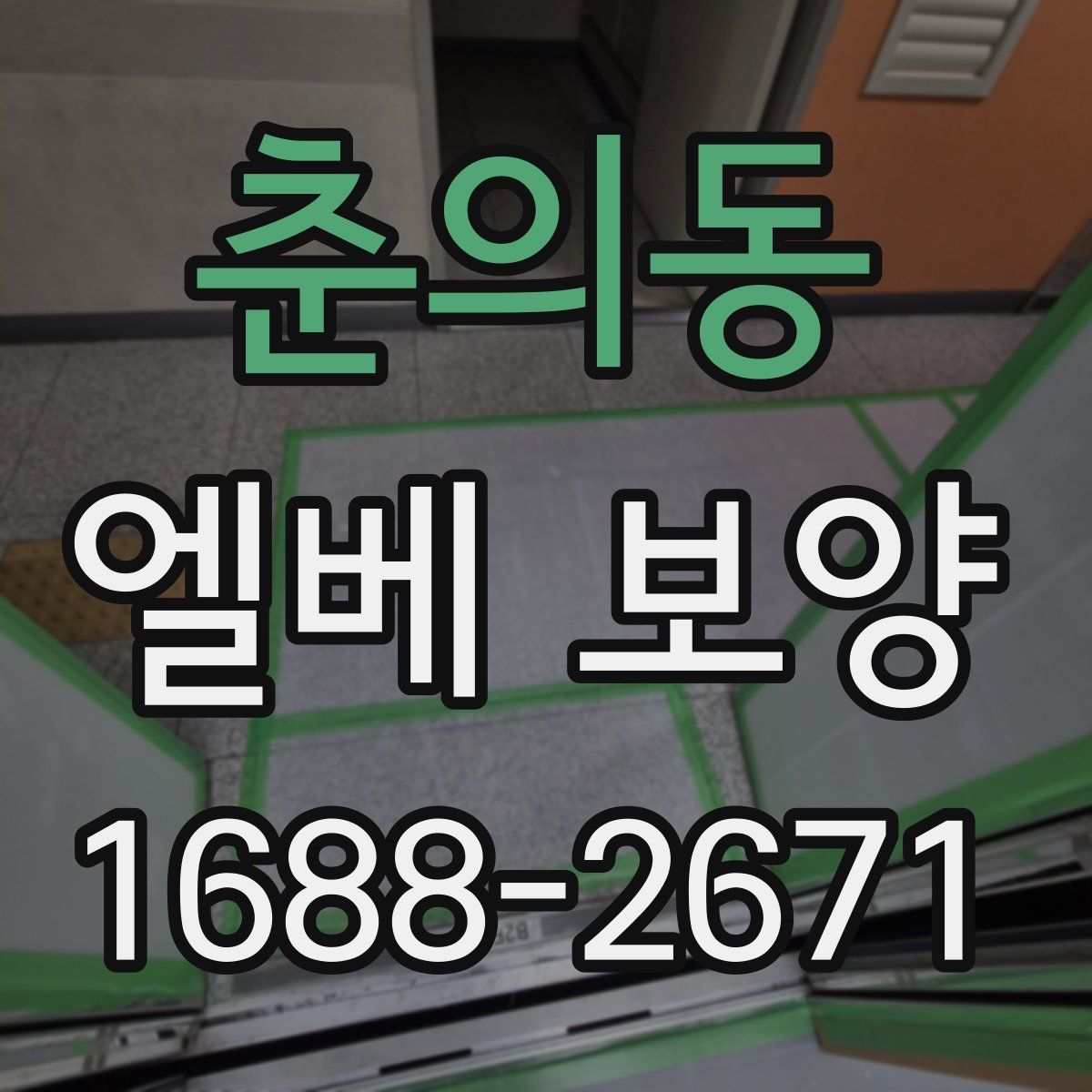 춘의동 엘베 보양