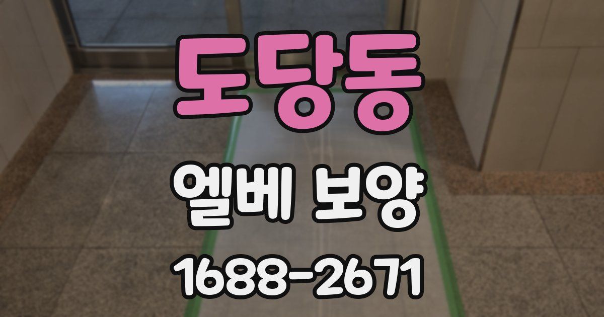 도당동 엘베 보양