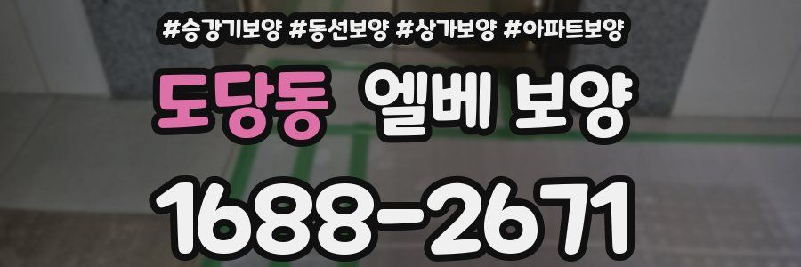 도당동 엘베 보양