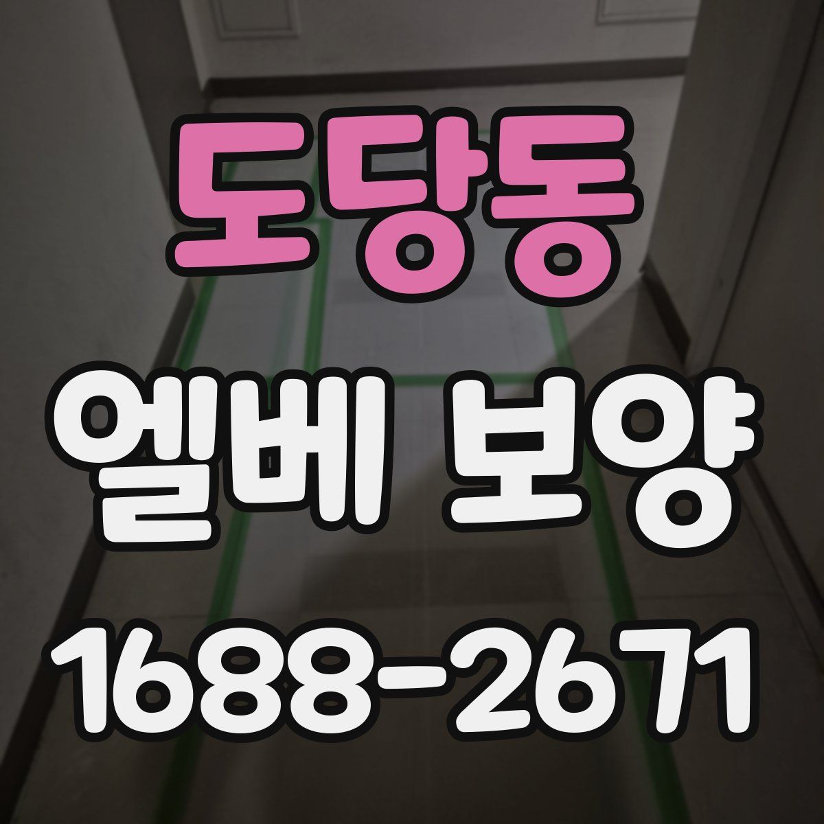 도당동 엘베 보양