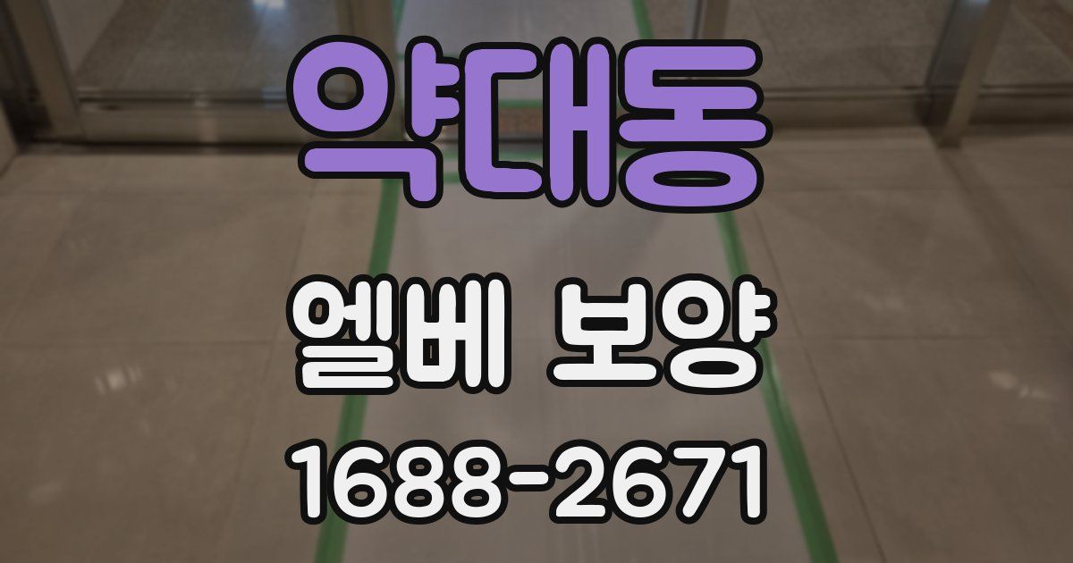 약대동 엘베 보양