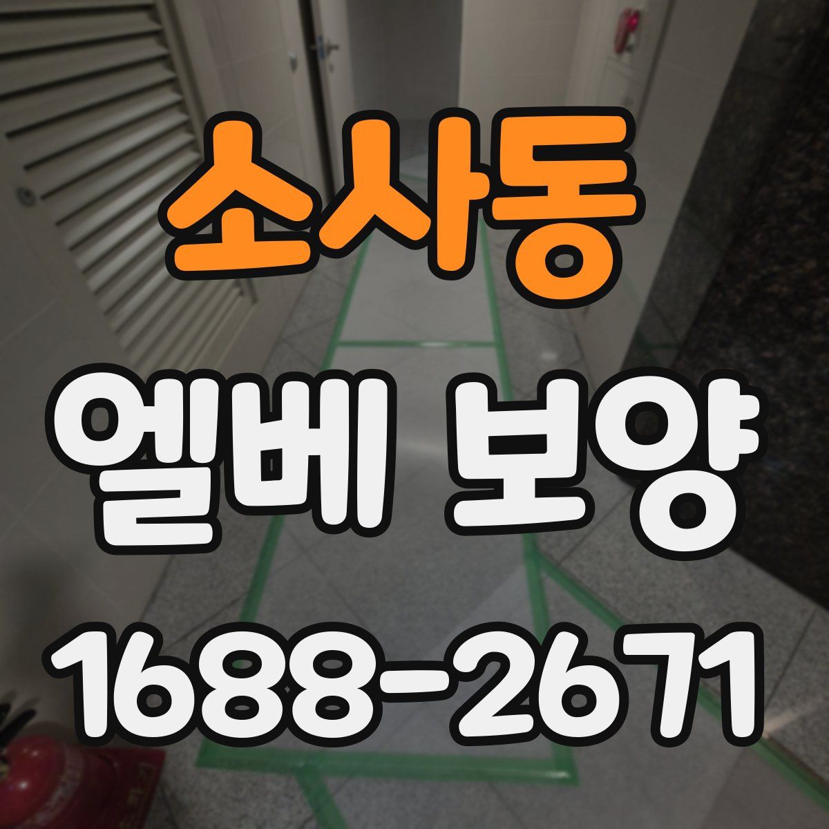 소사동 엘베 보양