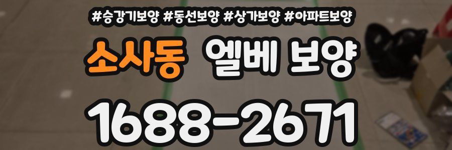 소사동 엘베 보양