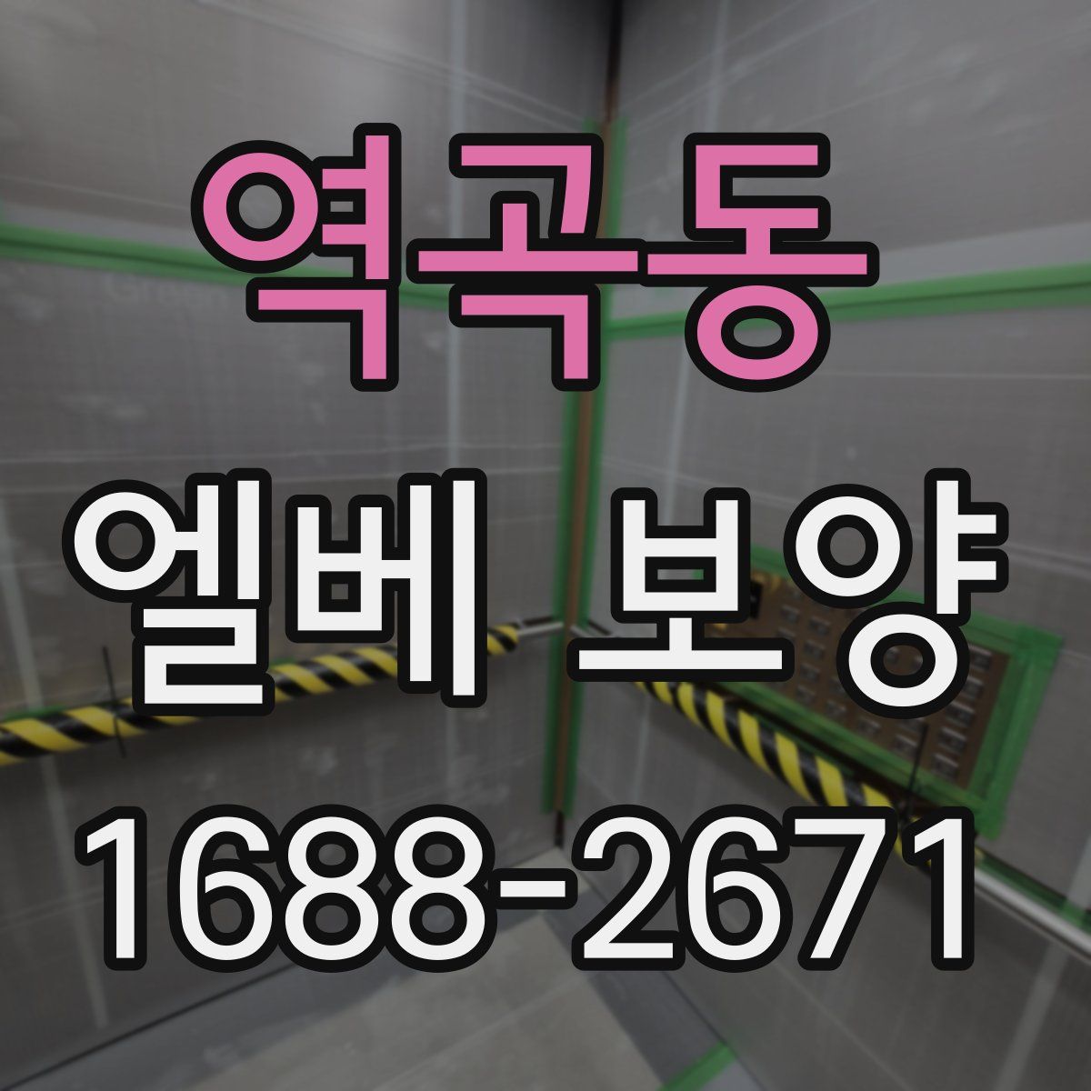 역곡동 엘베 보양