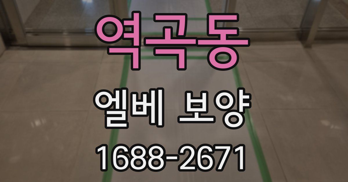 역곡동 엘베 보양