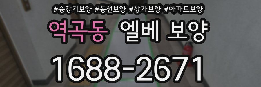 역곡동 엘베 보양