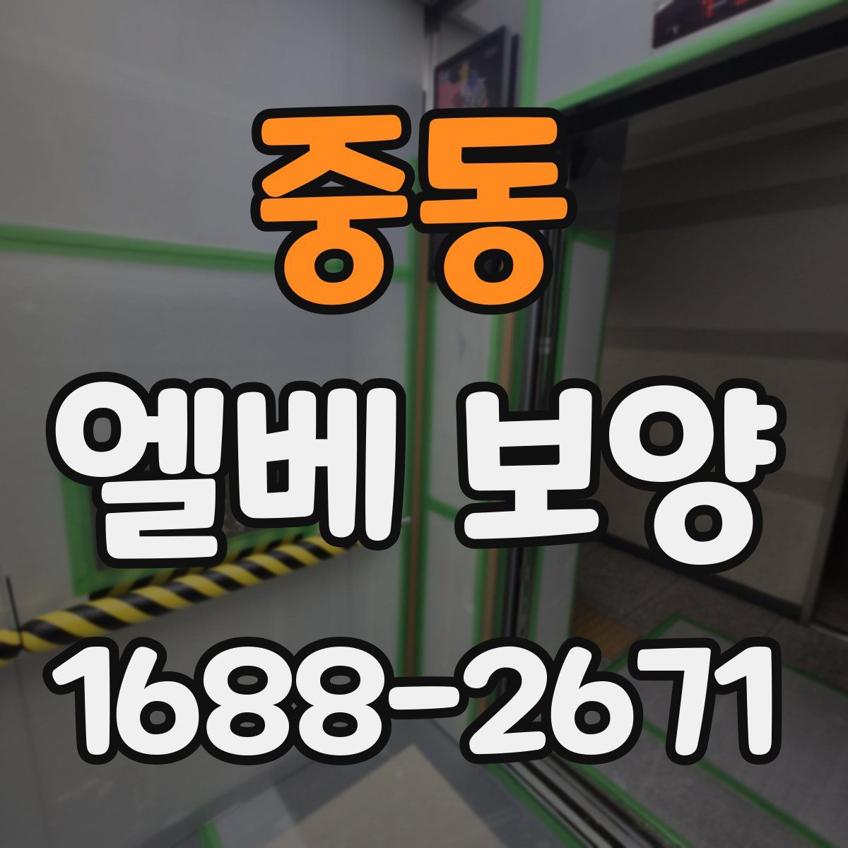 중동 엘베 보양