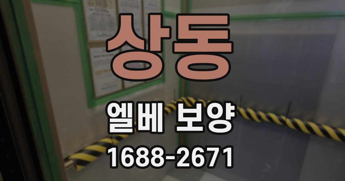 상동 엘베 보양