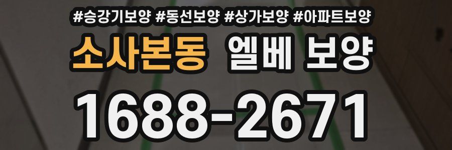 소사본동 엘베 보양