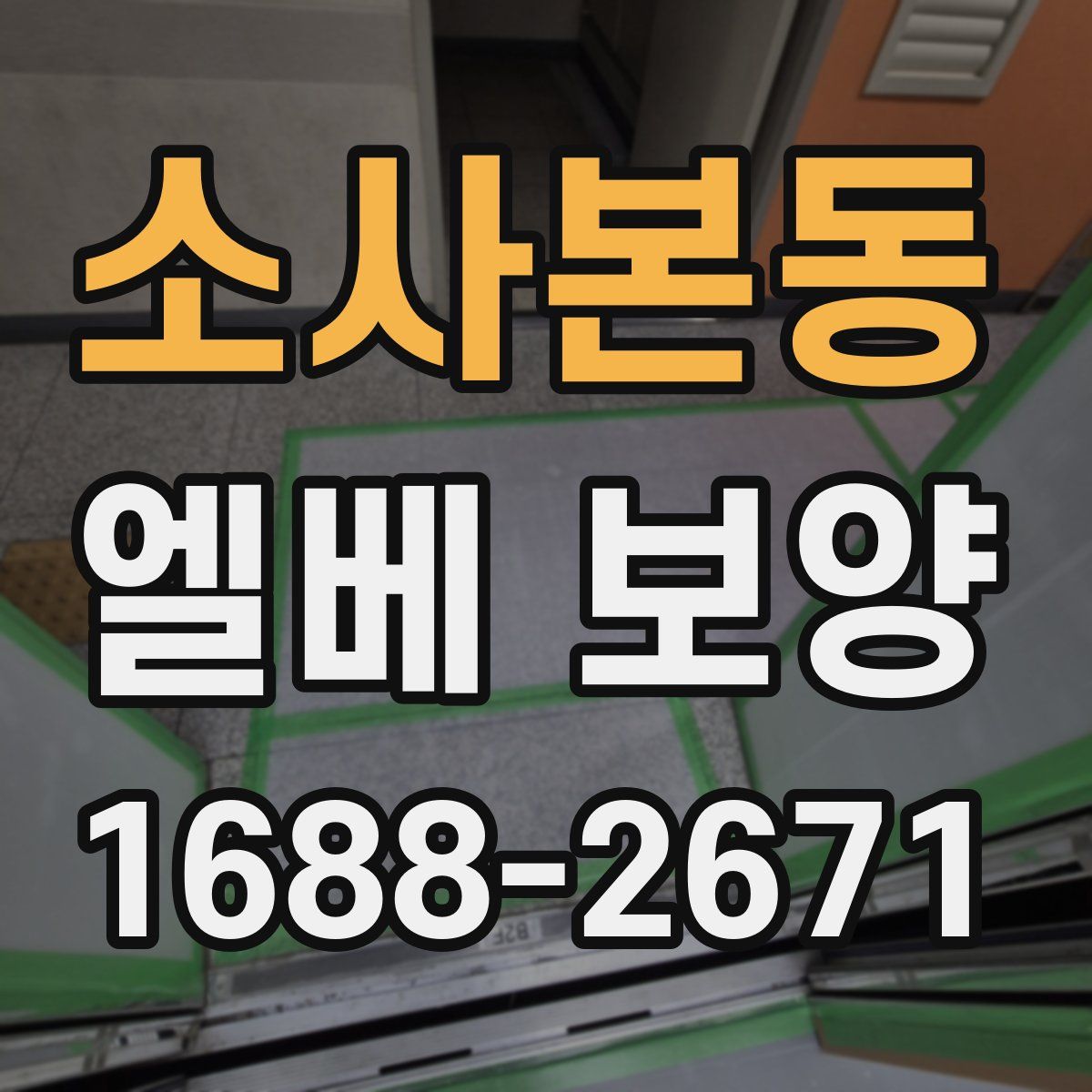 소사본동 엘베 보양